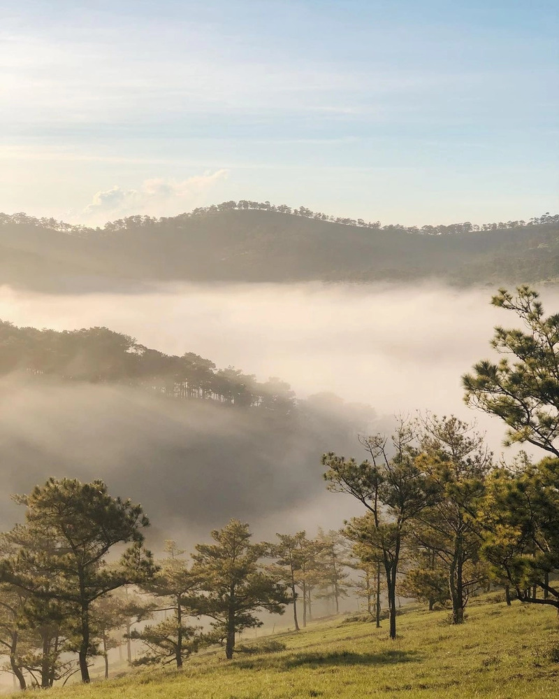 Kinh nghiệm săn mây Đà Lạt: Top 22 địa điểm săn mây có view đẹp nhất 9
