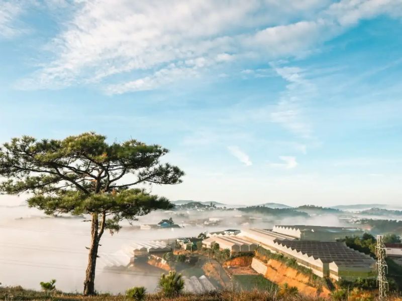 Kinh nghiệm săn mây Đà Lạt: Top 22 địa điểm săn mây có view đẹp nhất 7